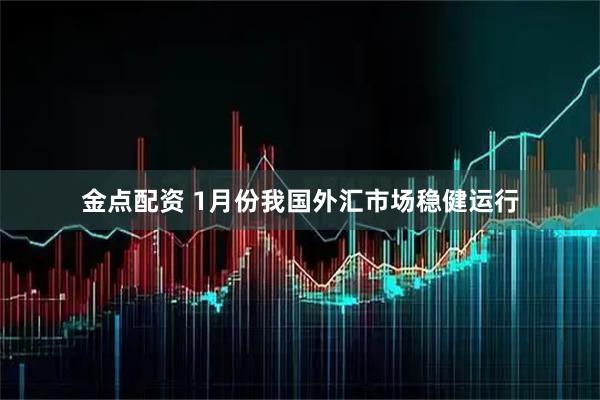 金点配资 1月份我国外汇市场稳健运行